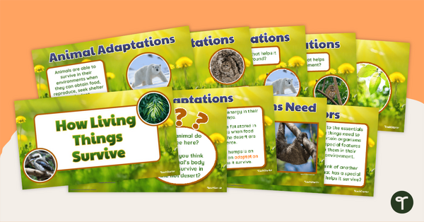 Plant and Animal Adaptations – Word Wall Vocabulary