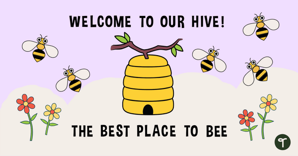Welcome to Our Hive! - Bulletin Board Display teaching resource