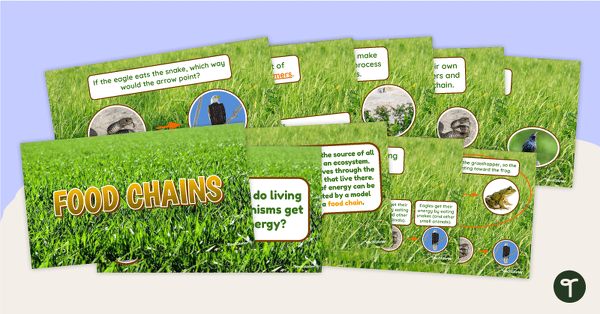 Go to Food Chains – Teaching Presentation teaching resource