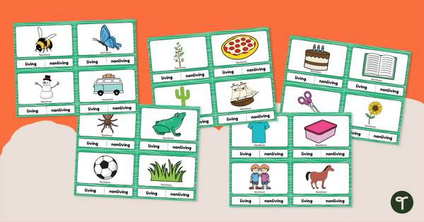 Plant and Animal Adaptations – Word Wall Vocabulary