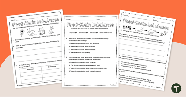 Go to Food Chain Imbalance – Worksheet teaching resource