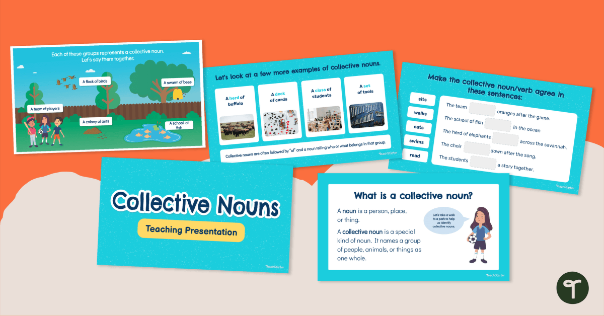Collective Nouns Teaching Presentation teaching resource