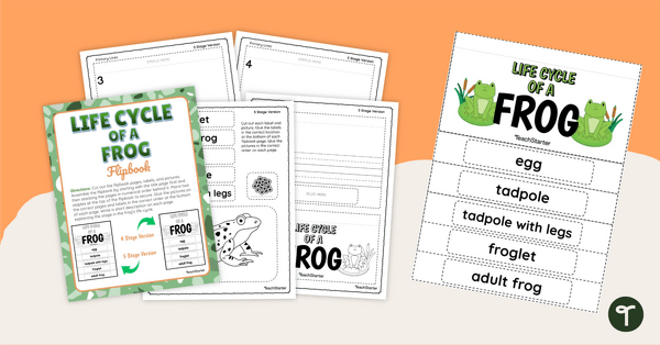 Life Cycle of a Frog Flipbook teaching resource