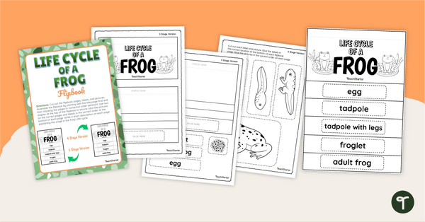 Life Cycle of a Frog Flipbook teaching resource