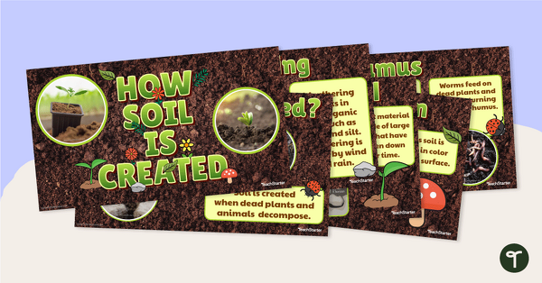 Go to How Soil Is Created – Teaching Presentation teaching resource