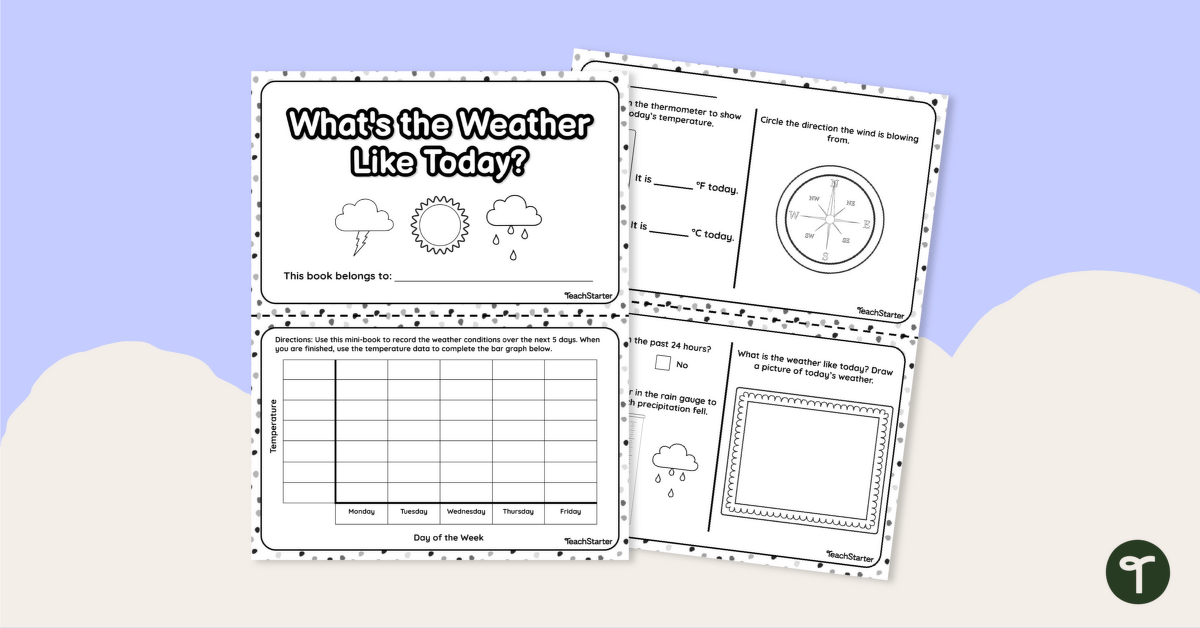 What's the Weather Like Today? – Mini-Book teaching resource