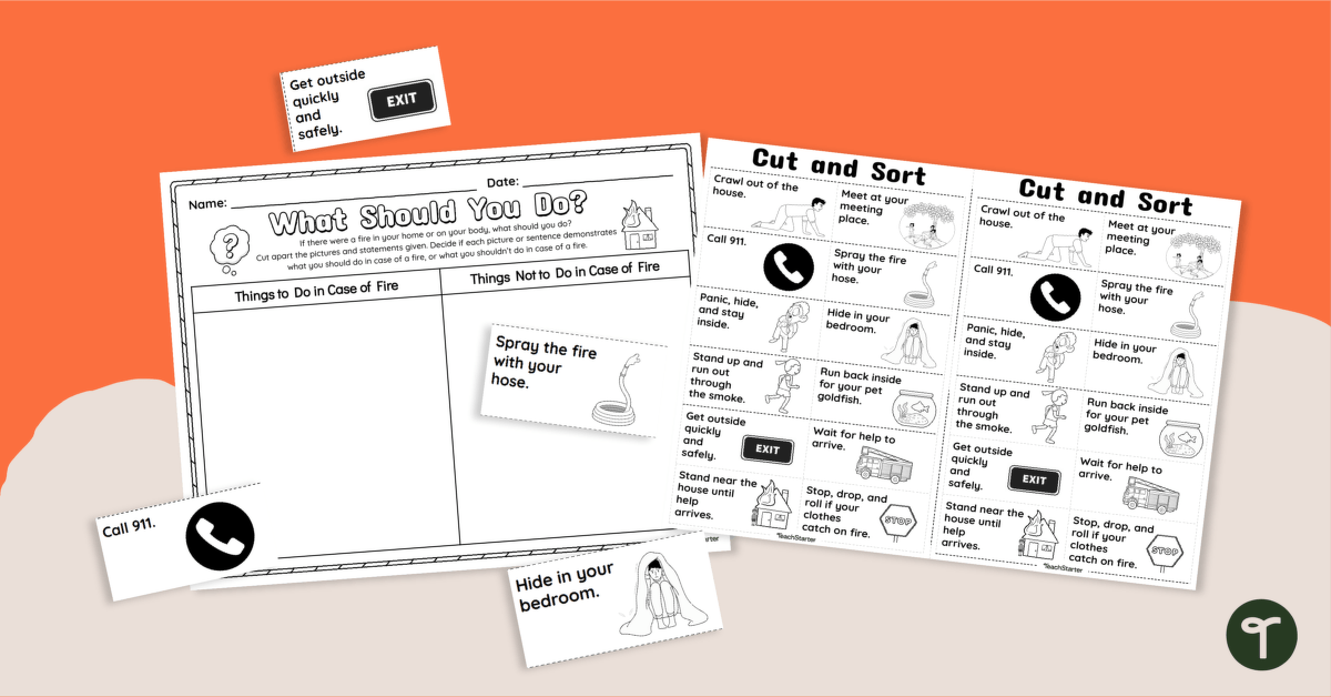 What Should I Do? Fire Safety Sorting Activity teaching resource