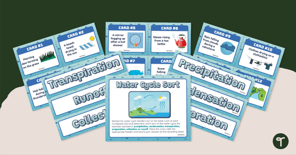 Image of Water Cycle Sort – Sorting Activity