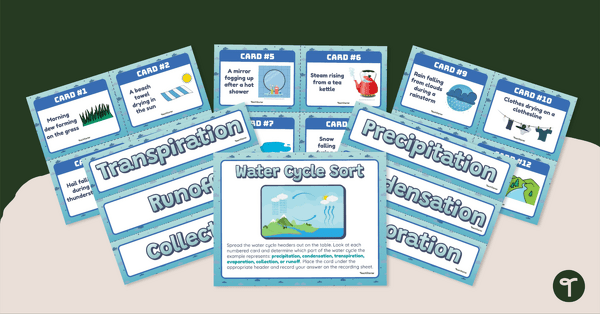 Go to Water Cycle Sort – Sorting Activity teaching resource