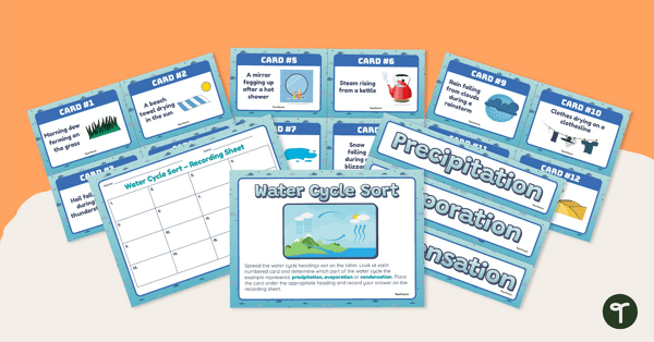 Go to Water Cycle Sort – Sorting Activity teaching resource