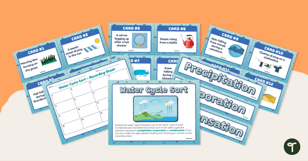 Image of Water Cycle Sort – Sorting Activity