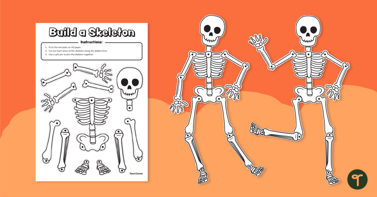 Build a Skeleton Template | Teach Starter