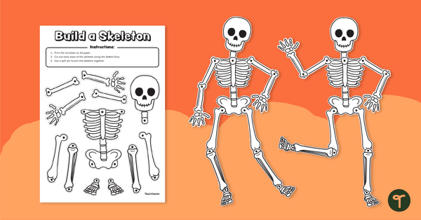 Go to Build a Skeleton Template teaching resource