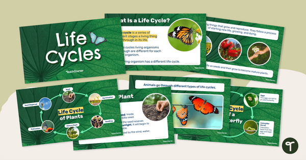 Life Cycles – Instructional Slide Deck teaching resource