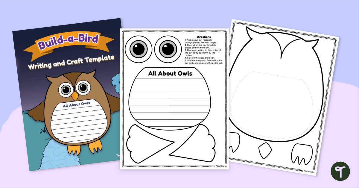 Build-a-Bird - Owl Report Writing Template | Teach Starter