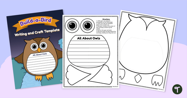 Go to Build-a-Bird - Owl Report Writing Template teaching resource