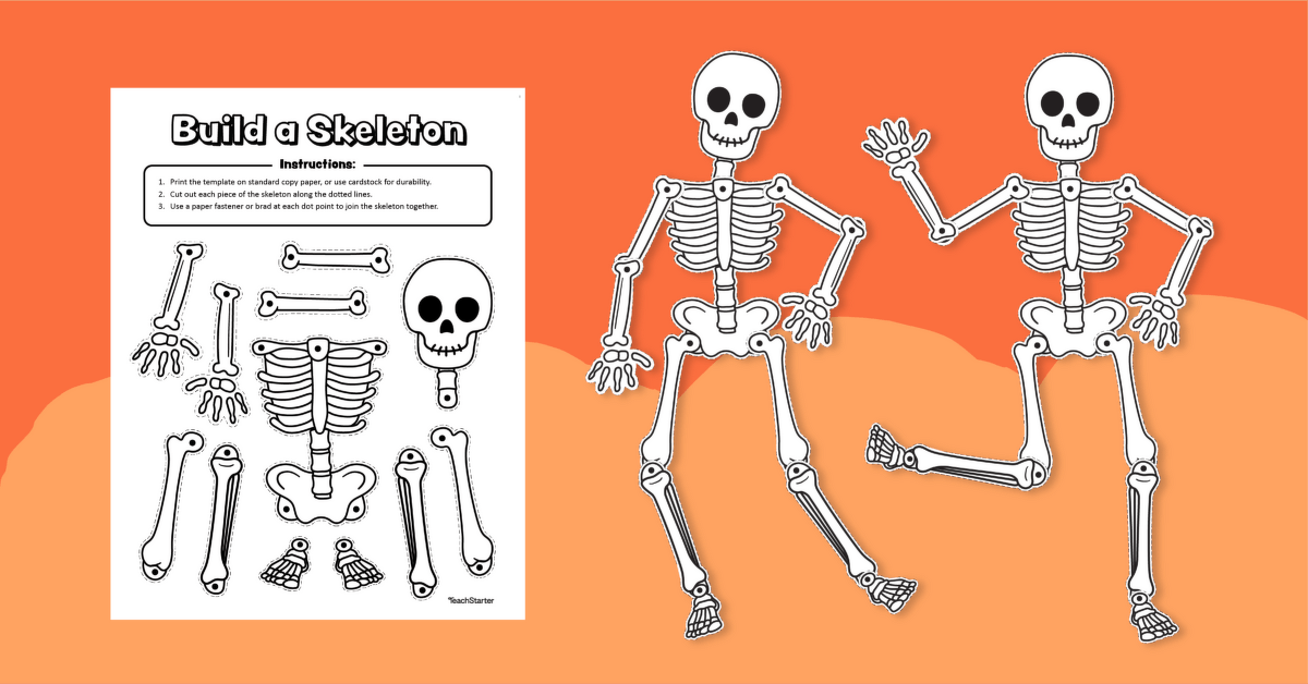 Printable Skeleton - Halloween Bulletin Board Craft teaching resource