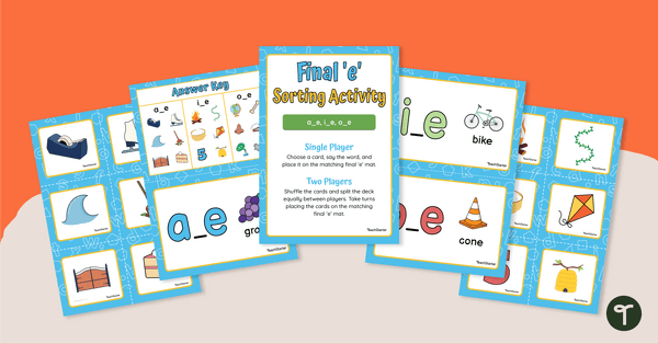 Go to Final 'E' Sorting Activity teaching resource