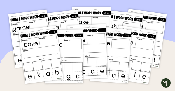 Final 'E' Worksheet Pack (A_E) teaching resource