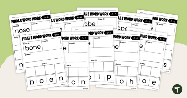 Final 'E' Worksheet Pack (O_E) teaching resource