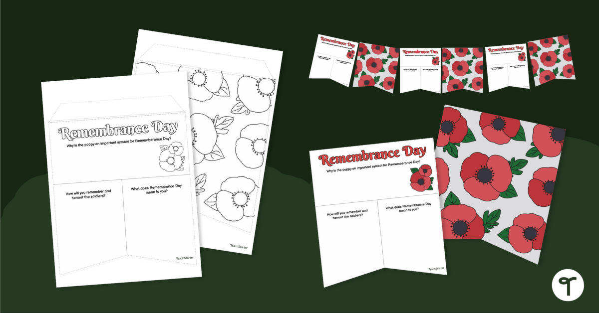 Remembrance Day Poppy Bunting & Writing Reflection teaching resource