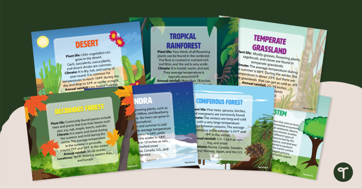 Ecosystem Poster Pack teaching resource