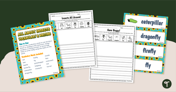 All About Insects - Vocabulary and Writing Activity teaching resource