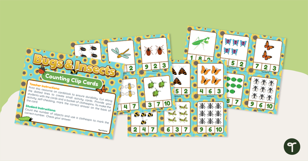 Go to Counting Clip Cards - Insects teaching resource