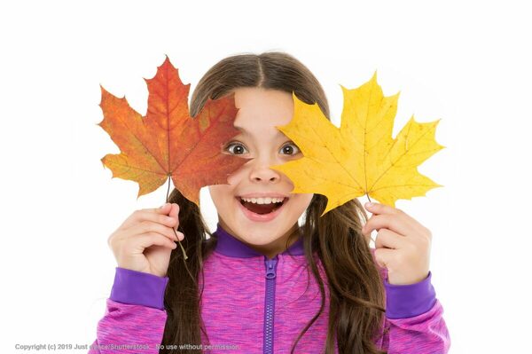 Printable Fall Booklet - Preschool teaching resource