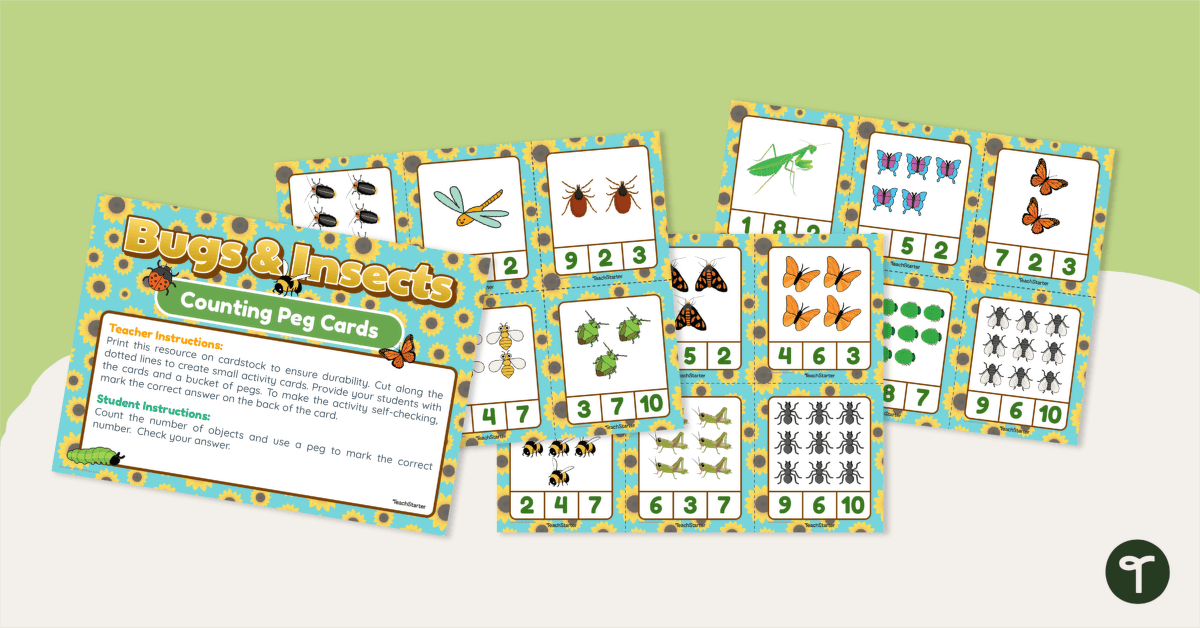 Counting Peg Cards – Bugs and Insects teaching resource