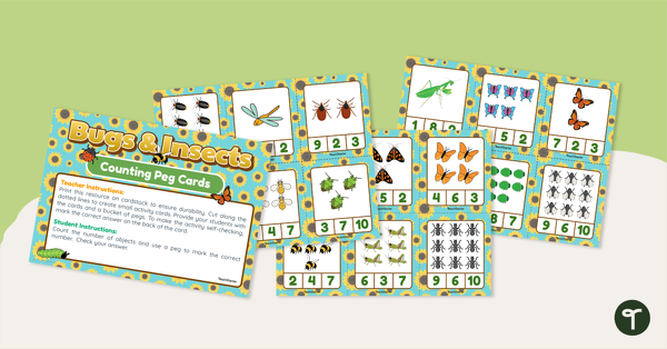 Go to Counting Peg Cards – Bugs and Insects teaching resource
