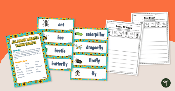 Insect-Themed Flashcards and Writing Prompts teaching resource