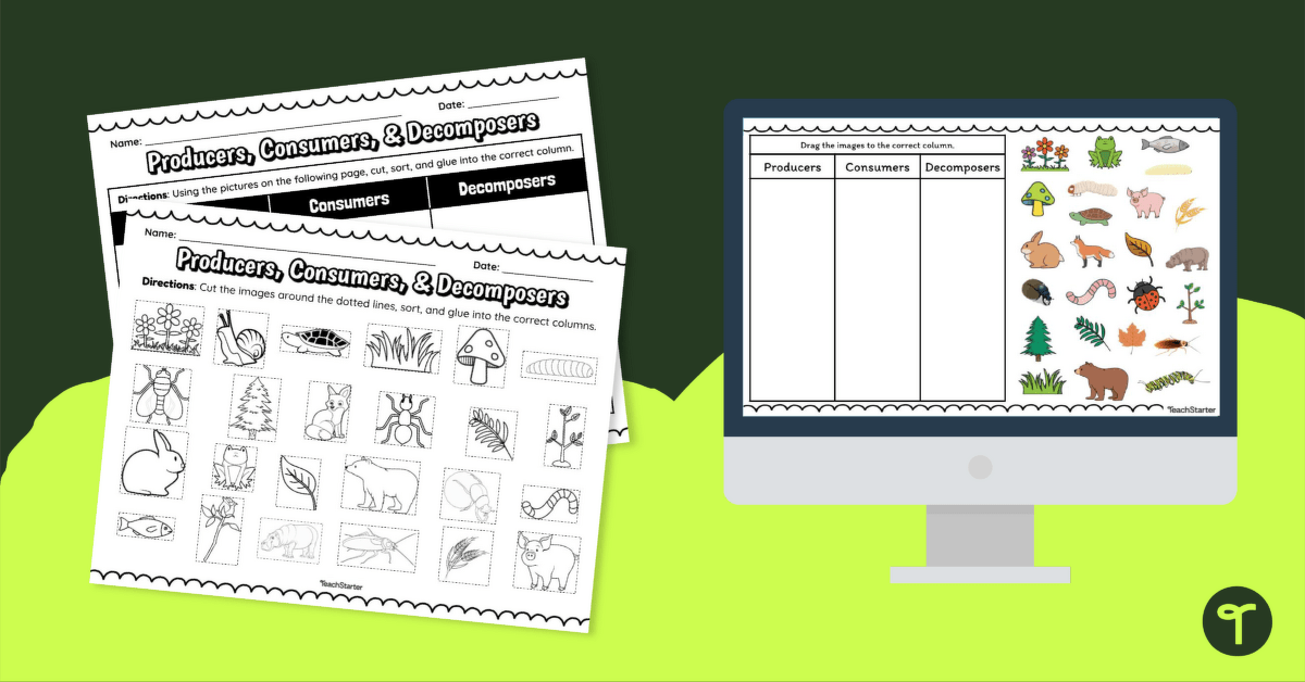 Producers, Consumers, and Decomposers – Interactive and Printable Activity teaching resource