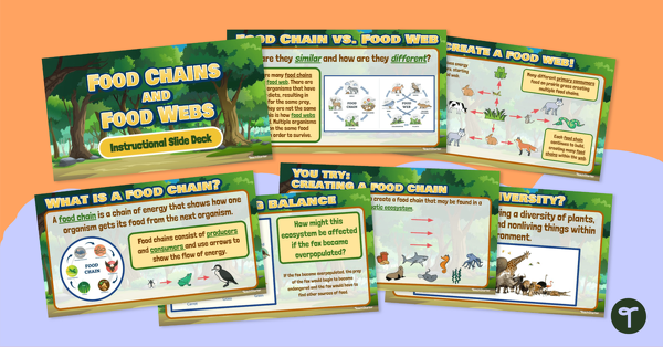 Image of Food Webs vs. Food Chains – Instructional Slide Deck