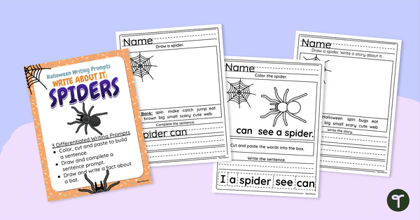 Image of Write About It! Spiders