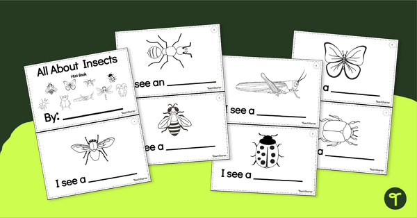 All About Insects Mini Book teaching resource