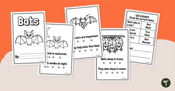 All About Bats Mini Book teaching resource