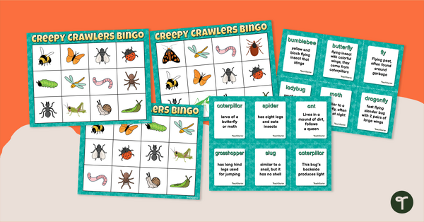Insects for Kids - Bingo Game teaching resource