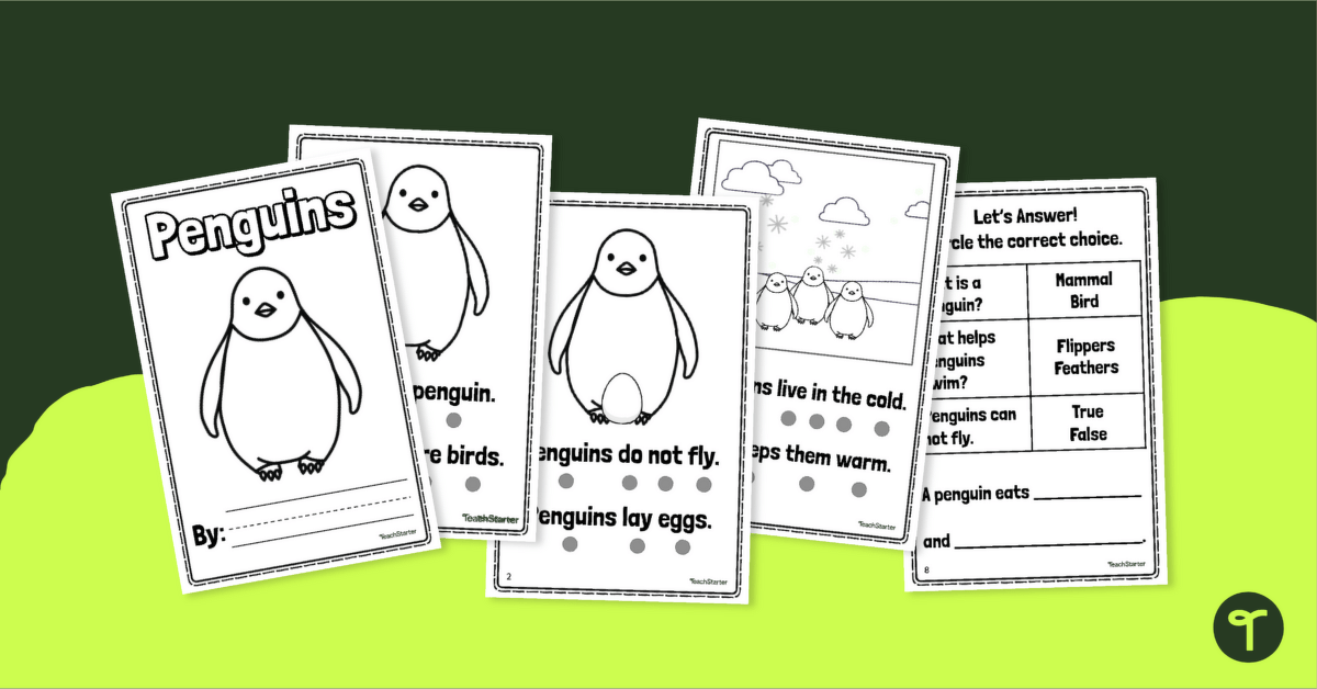 Penguin Booklet - 1st Grade Reader teaching resource