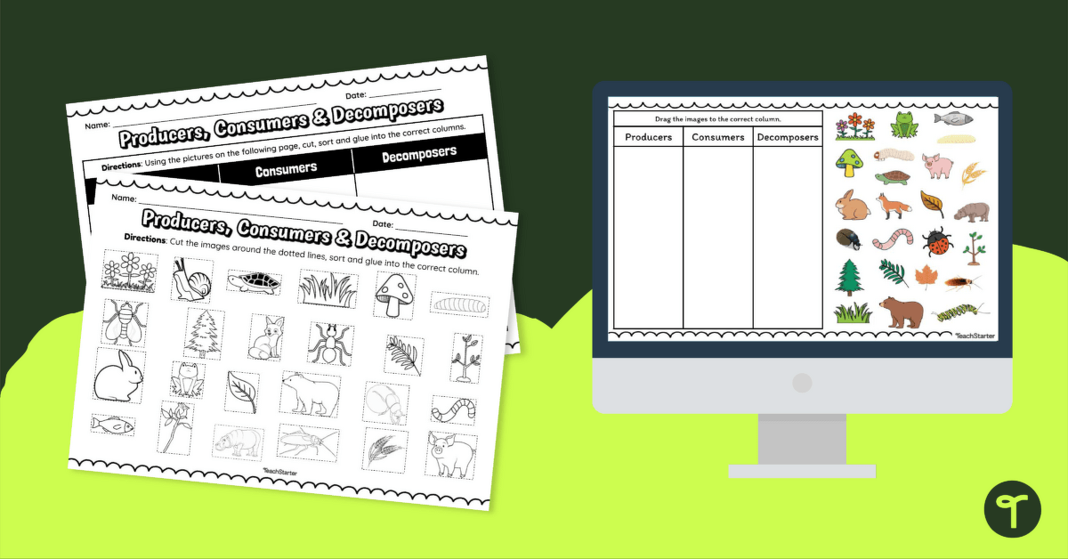 Producers, Consumers and Decomposers – Interactive and Printable Activity teaching resource