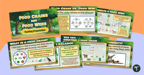Image of Food Webs vs. Food Chains – Teaching Presentation