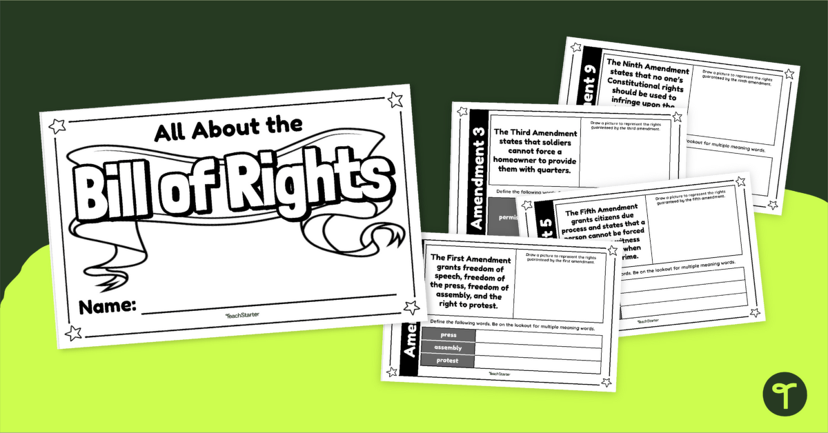 Bill of Rights Mini-Book teaching resource