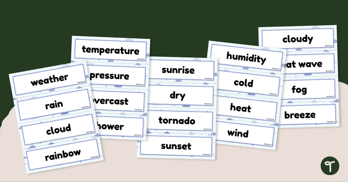 Weather Word Wall Vocabulary teaching resource