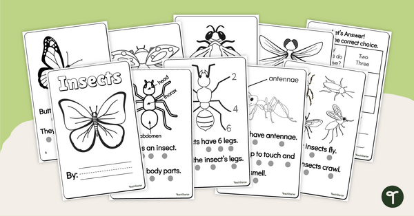 Go to Insects Mini-Book teaching resource