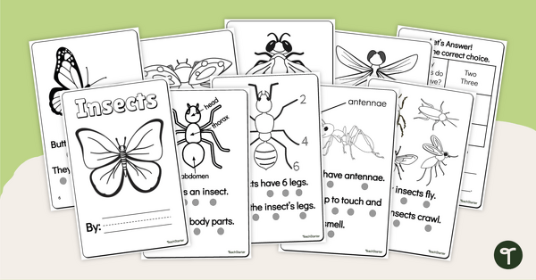 Go to Features of Insects Mini-Book teaching resource