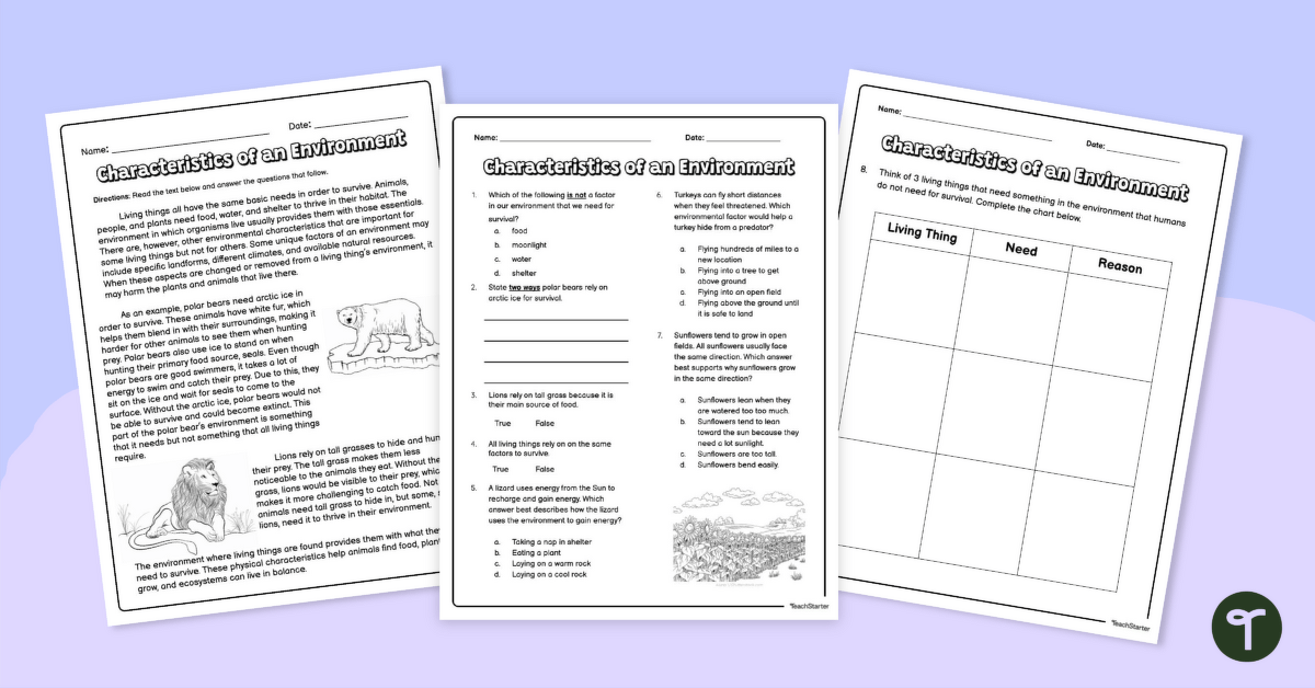 Characteristics of an Environment – Worksheet teaching resource