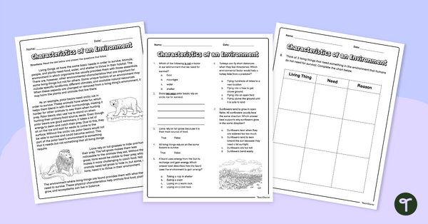 Go to Characteristics of an Environment – Worksheet teaching resource