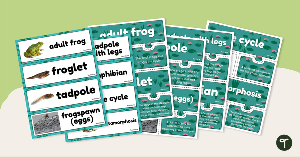 Go to Life Cycle of a Frog – Vocabulary Cards and Puzzles teaching resource
