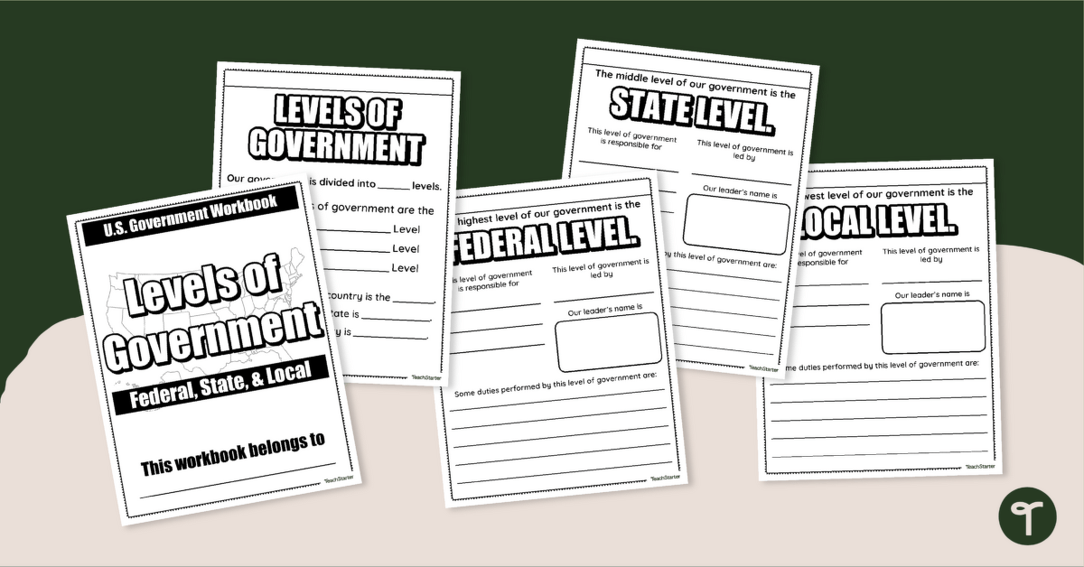 Levels of Government Workbook teaching resource