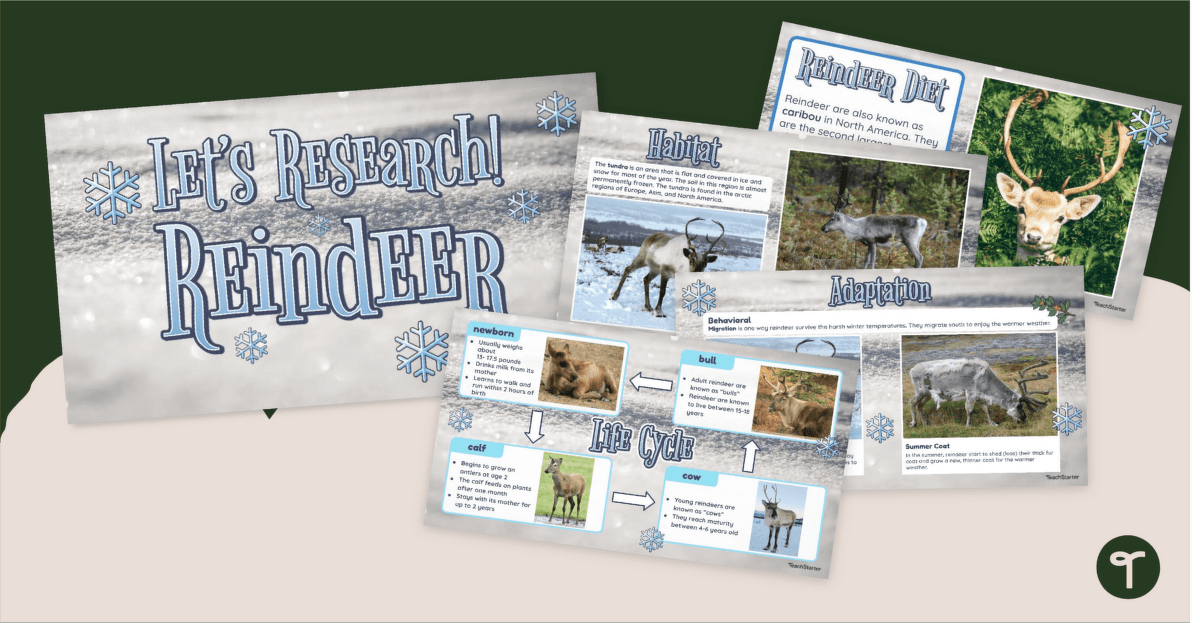 Reindeer Research - Instructional Slide Deck teaching resource